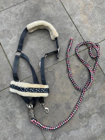 Bont onderlegd halster Cob beschikbaar voor biedingen