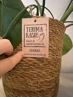 Monstera Deliciosa met handgemaakte pot & gieter, Ophalen, Overige materialen, Rond, Binnen