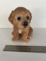 Lieve puppie, Ophalen of Verzenden, Zo goed als nieuw, Dier