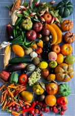 tafel vol:  Vele fruit & groente brocante decoratie., Huis en Inrichting, Ophalen of Verzenden, Nieuw