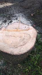 Bomen kappen, Ophalen of Verzenden, Nieuw