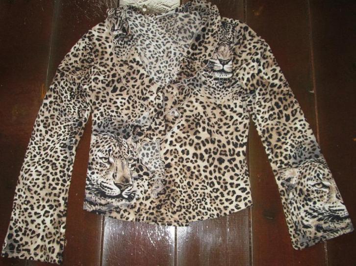 Romantisch Luipaard blouse / topje met ruffle voorkant., Kleding | Dames, Blouses en Tunieken, Nieuw, Maat 34 (XS) of kleiner