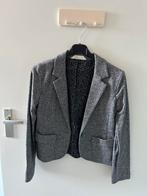 Blazer H&M mt 164 meiden, Ophalen of Verzenden, Zo goed als nieuw, Meisje, Jas