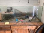 Schilpadden bak met pompje, Ophalen of Verzenden, Gebruikt, Leeg aquarium