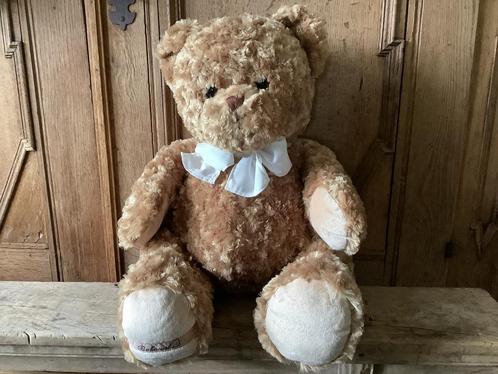 NIEUW grote Bukowski knuffel beer WILHEM THE GREAT 65 cm, Kinderen en Baby's, Speelgoed | Knuffels en Pluche, Nieuw, Beer, Ophalen of Verzenden