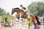 Hulp bij paard/ doorrijden, Dieren en Toebehoren, Ophalen