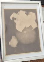 Heliogravure naar Jan Mankes Aronskelken in vaas, Ophalen, Minder dan 50 cm, Schilderij, Minder dan 50 cm