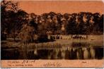 Park met Volk, Tilburg 1906 (Tulpenkaart) (NB), Verzamelen, Ansichtkaarten | Nederland, Gelopen, Ophalen of Verzenden, Voor 1920