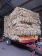 Stro, 80 pak tarwe of gerst, Dieren en Toebehoren, Dierenvoeding, Ophalen of Verzenden, Vee