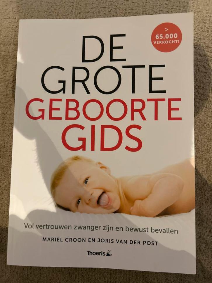 De Grote Geboorte Gids - Zwangerschap en Bevalling, Boeken, Zwangerschap en Opvoeding, Gelezen, Zwangerschap en Bevalling, Ophalen of Verzenden