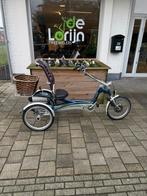 Van raam easy rider driewieler, Ophalen, Zo goed als nieuw, Van Raam Easy Rider