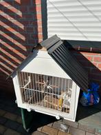 Buiten vogelkooitje, Ophalen, Zo goed als nieuw, Metaal, Vogelkooi