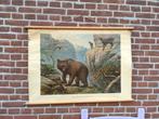 M.A. Koekkoek Wolters schoolplaat bewoners van de Karpaten, Ophalen, Natuur en Biologie