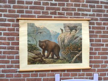 M.A. Koekkoek Wolters schoolplaat bewoners van de Karpaten beschikbaar voor biedingen