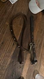 Leren halsband met nieuwe leren riem stefferd pitbull, Dieren en Toebehoren, Ophalen of Verzenden, Zo goed als nieuw