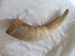 Hoorn lengte 40 cm., Verzamelen, Ophalen of Verzenden, Gebruikt, Beeldje of Figuurtje