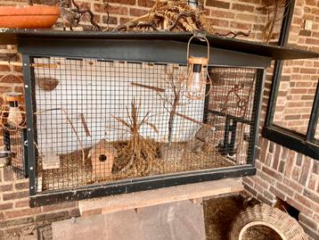 Prachtige Vogelkooi cq Broedkooi beschikbaar voor biedingen