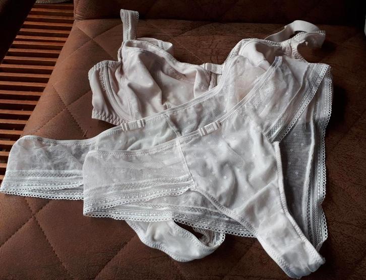 Anita/Rosa Faia-Emily-Powder Rose-BHEU75G/F90G+shorty44+top, Kleding | Dames, Ondergoed en Lingerie, Setje, Roze, Ophalen of Verzenden