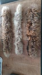 Bont, Kleding | Dames, Jassen | Winter, Ophalen of Verzenden