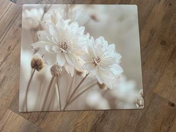 Inductie / kookplaat beschermer 57,5x51,5 cm NIEUW beschikbaar voor biedingen