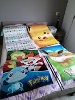 Pokémon posters 4 stuks met plastic rand., Verzamelen, Zo goed als nieuw, Ophalen