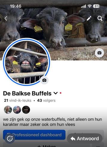  BBQ  waterbuffel pakket 2 personen  ongeveer 2 kg  beschikbaar voor biedingen