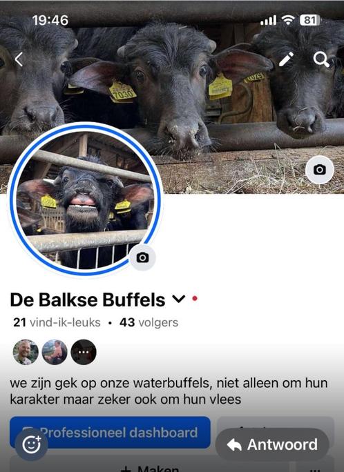 BBQ  waterbuffel pakket 2 personen  ongeveer 2 kg, Tuin en Terras, Houtskoolbarbecues, Nieuw, Met accessoires, Ophalen