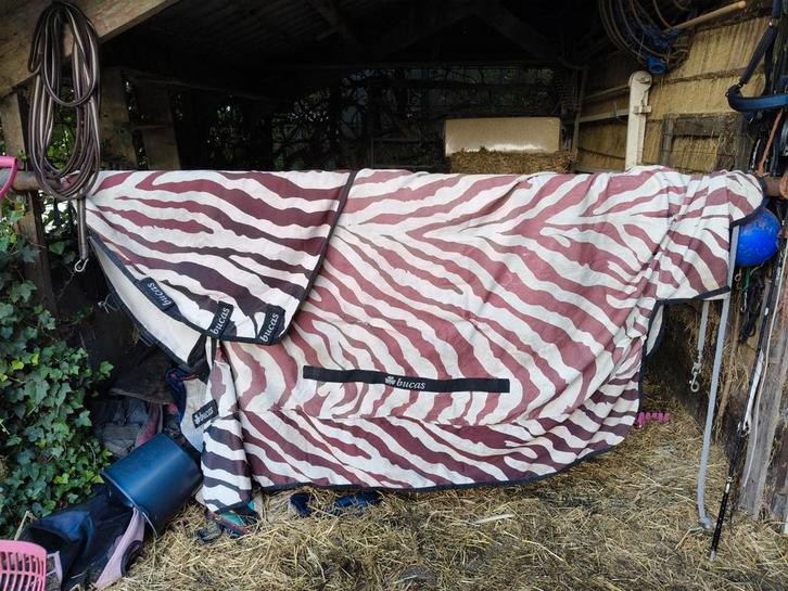 Bucas sweet itch zebra vliegendeken, Dieren en Toebehoren, Paarden en Pony's | Dekens en Dekjes, Gebruikt, Deken, Ophalen of Verzenden