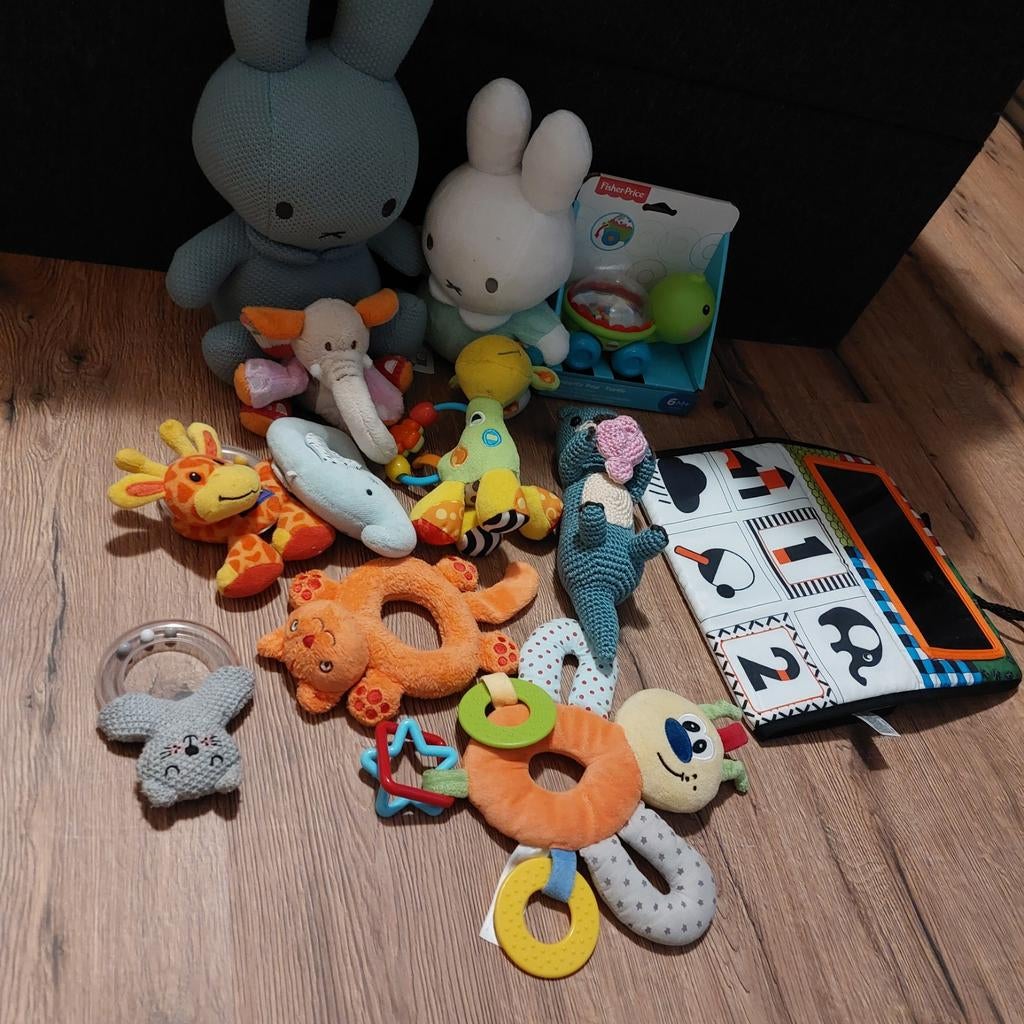 Baby Speelgoed Set: Knisperboekje & Knuffels (12 stuks), Ophalen, Overige typen