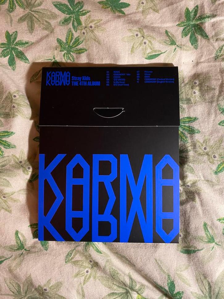 stray kids skz karma compact version met felix photocard, Verzamelen, Muziek, Artiesten en Beroemdheden, Zo goed als nieuw, Foto of Kaart