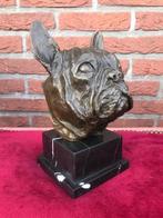 zware bronzen buste, ENGELSE BULLDOG, Ophalen of Verzenden, Brons
