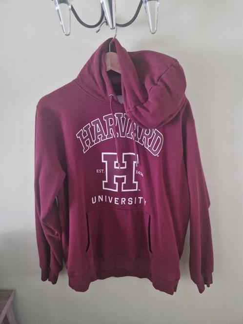 4 truien met cappichon, Kleding | Dames, Truien en Vesten, Zo goed als nieuw, Ophalen