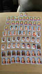 Panini voetbalplaatje CL 2007. / 2008 champions league, Ophalen of Verzenden, Zo goed als nieuw, Plaatje