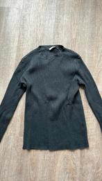 Sissy boy truitje maat Xs grijs, Kleding | Dames, Truien en Vesten, Ophalen, Sissy-Boy, Maat 34 (XS) of kleiner, Grijs