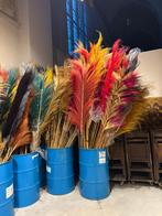 Sier pluimen in diverse kleuren, Ophalen, Zo goed als nieuw