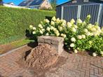 GRATIS tegels met zand, Tuin en Terras, Tegels en Klinkers, Ophalen, Beton, 10 m² of meer, Terrastegels