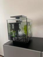 Superfish 30 Liter Aquarium incl. Benodigdheden en decoratie, Dieren en Toebehoren, Vissen | Aquaria en Toebehoren, Ophalen, Leeg aquarium