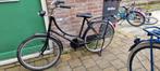24inch spirit limit meisjes oma fiets, Fietsen en Brommers, Fietsen | Dames | Omafietsen, Ophalen, Zo goed als nieuw