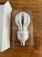 2x fotograaf lampen. Photographic lamp Daylight 36 W, Ophalen of Verzenden, Zo goed als nieuw, Lamp of Flitsset