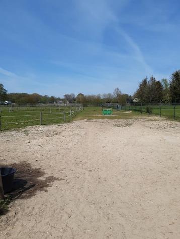 Stalling/weidegang in Emst beschikbaar voor biedingen