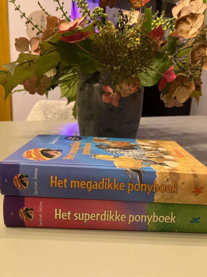 Ponyboeken Gertrud Jetten - Jeugdboeken, Boeken, Kinderboeken | Jeugd | onder 10 jaar, Gelezen, Fictie algemeen, Ophalen of Verzenden
