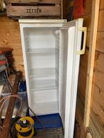 Koelkast, Witgoed en Apparatuur, Ophalen, 200 liter of meer, 160 cm of meer, 45 tot 60 cm