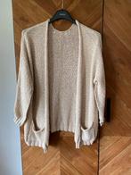 Leuk Vest. 1 Maat, Ophalen of Verzenden, Gedragen, Maat 38/40 (M), Beige