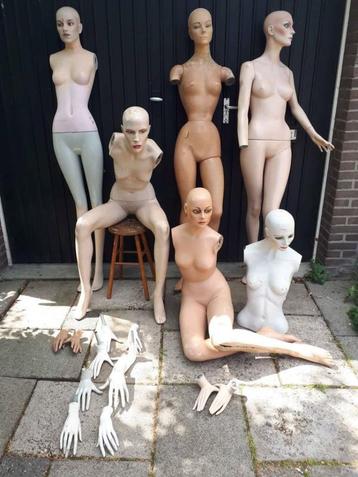 Set gebruikte ETALAGEPOPPEN vrouw beschikbaar voor biedingen