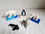 Duplo dierentuin pooldieren dieren orka zeehond ijsbeer, Kinderen en Baby's, Speelgoed | Duplo en Lego, Ophalen of Verzenden, Gebruikt