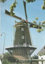 Haaften molen De Blauwe Reiger, Verzamelen, Ansichtkaarten | Nederland, Verzenden, Ongelopen