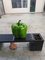 Hele grote paprika  groen buiten, Tuin en Terras, Bloembakken en Plantenbakken, Ophalen, Minder dan 30 cm, Rond, Tuin