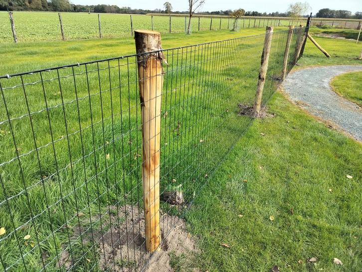 Gaas Omheining & Afrastering – geschikt voor dierenrennen, w, Dieren en Toebehoren, Stalling en Weidegang