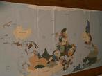 Wereldkaart in kleur op canvas 124x220 cm, Verzenden, Zo goed als nieuw