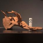 Uniek stuk Spiderwood / Driftwood / Kienhout, Hout Decoratie, Ophalen of Verzenden